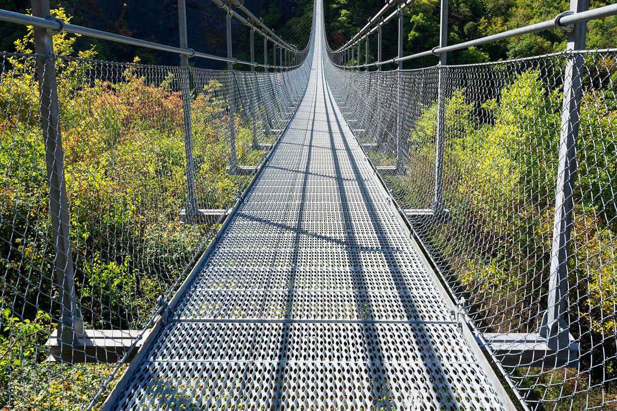 Kedi Yolu Uygulamaları